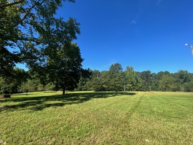 130 Duck Pond Road Roopville, GA 30170 - Photo 1 of 1 a view of a field with a tree in the background