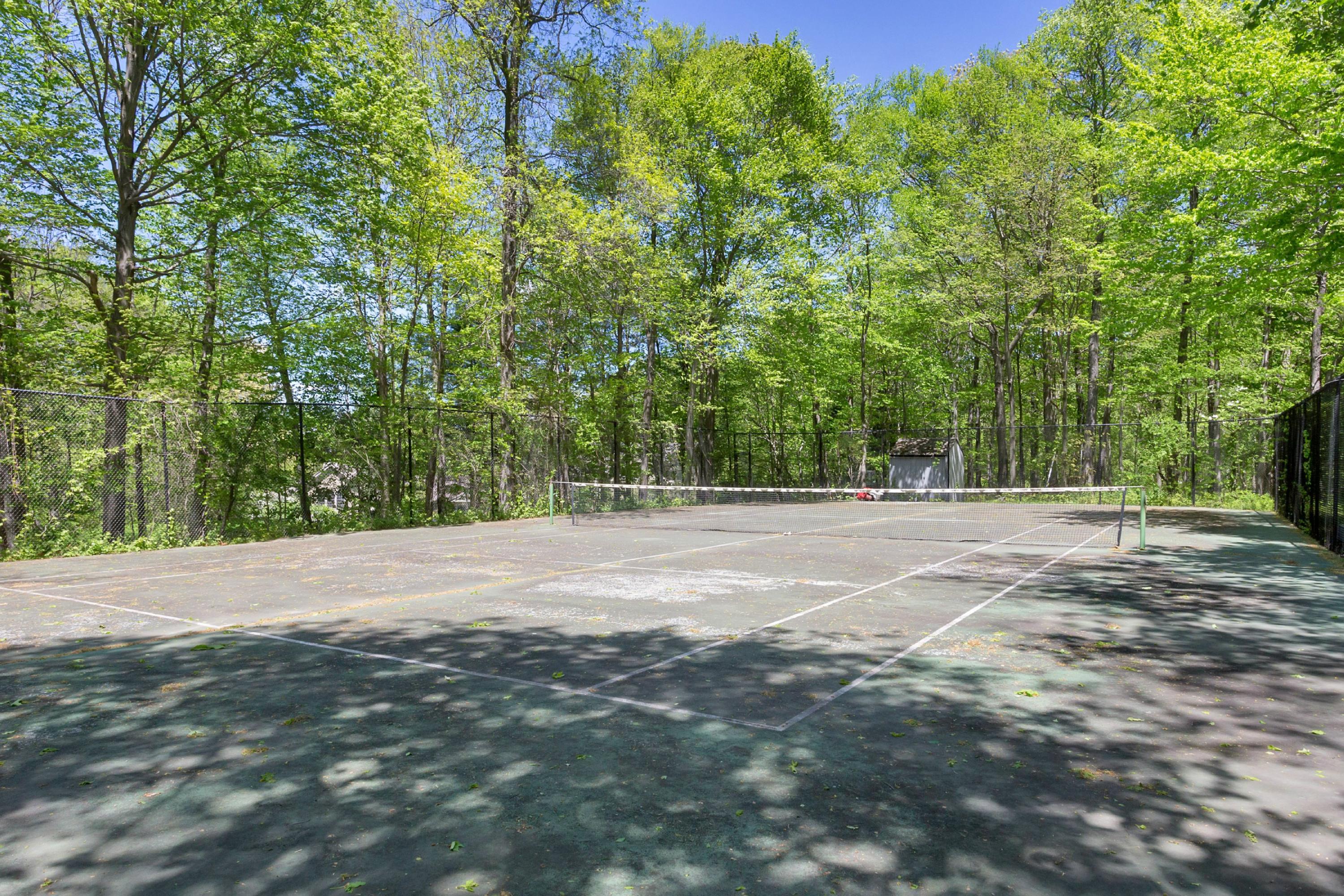 67 Sumner Road Greenwich, CT 06831 - Photo 23 of 25 a view of a backyard of a house