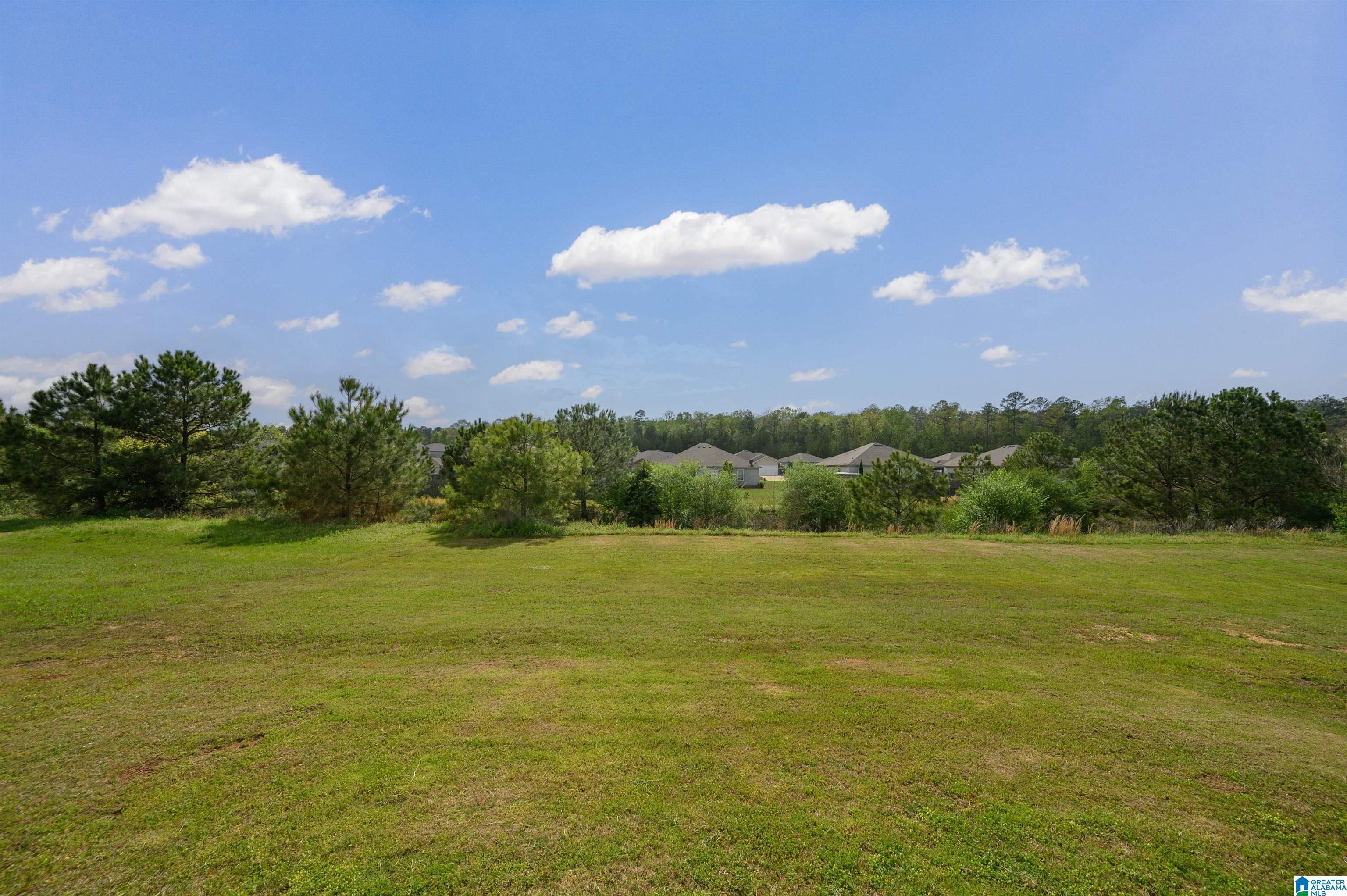 328 Hidden Court Montevallo, AL 35115 - Photo 46 of 47 Gallery Image 46