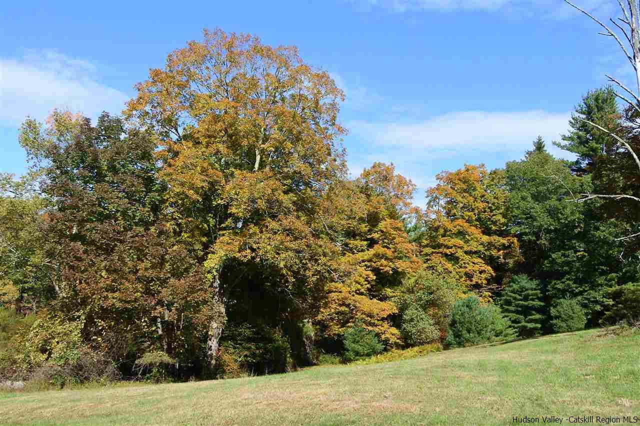 284 Bush Road Stone Ridge, NY 12484 - Photo 20 of 34 a view of a yard
