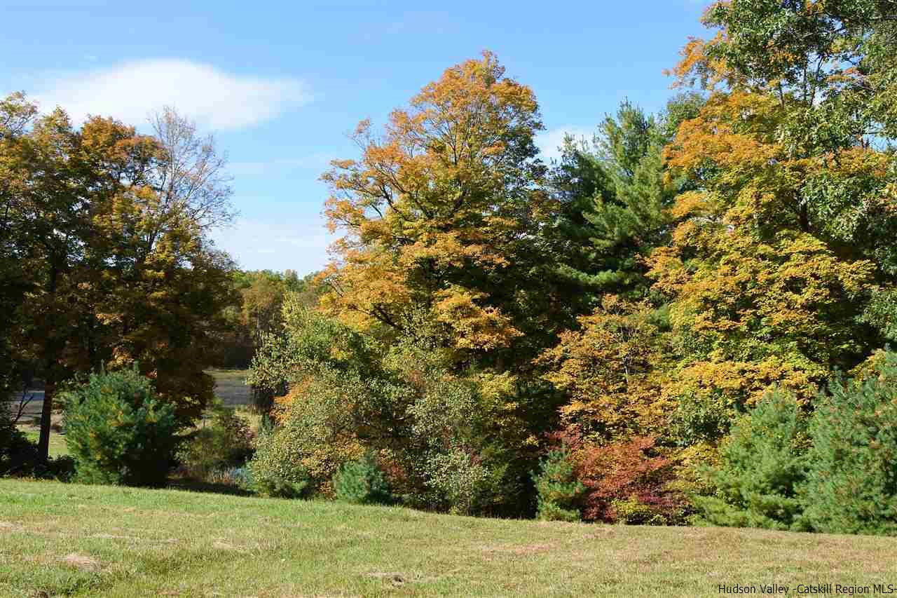 284 Bush Road Stone Ridge, NY 12484 - Photo 22 of 34 a view of a field with an trees