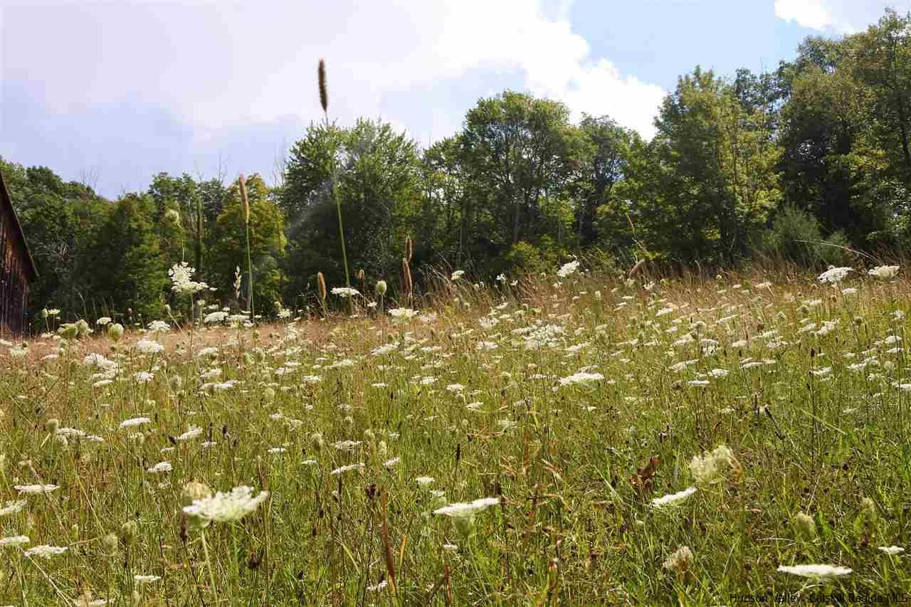284 Bush Road Stone Ridge, NY 12484 - Photo 23 of 34 a view of a yard with a tree