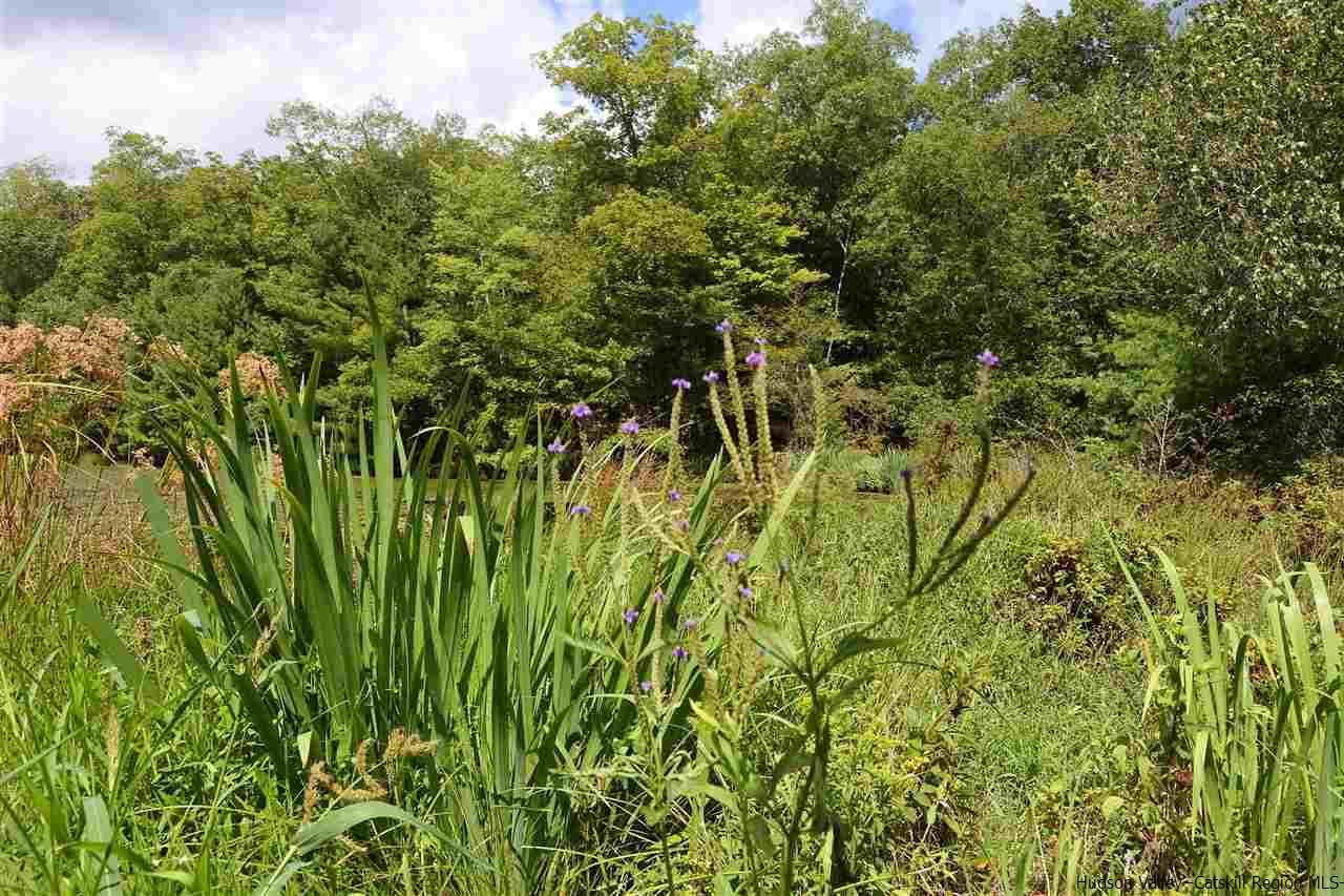 284 Bush Road Stone Ridge, NY 12484 - Photo 24 of 34 a view of a lush green forest