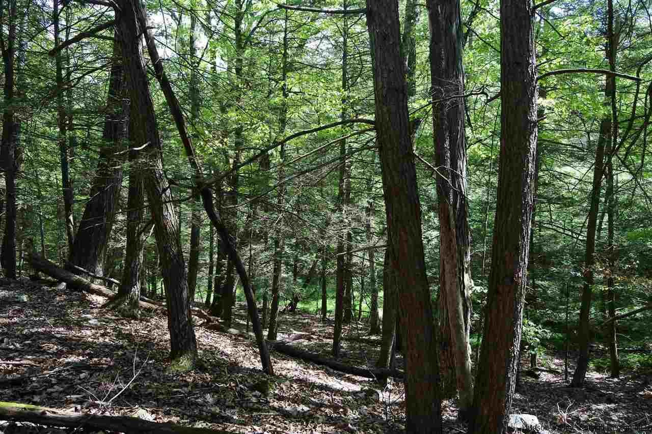 284 Bush Road Stone Ridge, NY 12484 - Photo 26 of 34 a view of outdoor space and green space