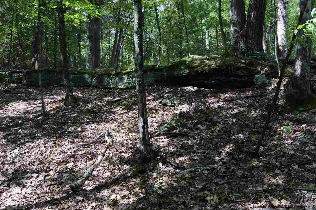 284 Bush Road Stone Ridge, NY 12484 - Photo 27 of 34 a backyard of a house with lots of green space