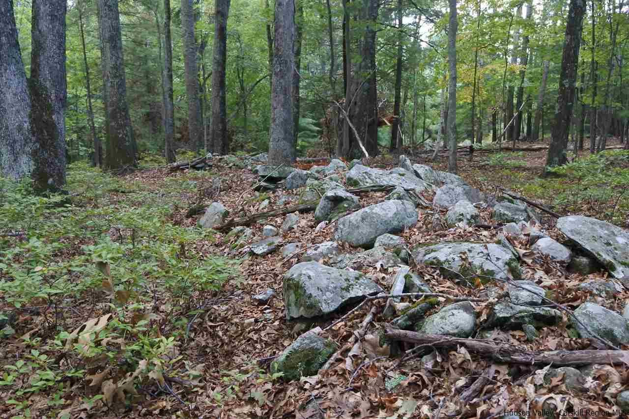 284 Bush Road Stone Ridge, NY 12484 - Photo 30 of 34 a view of a forest with trees in the background