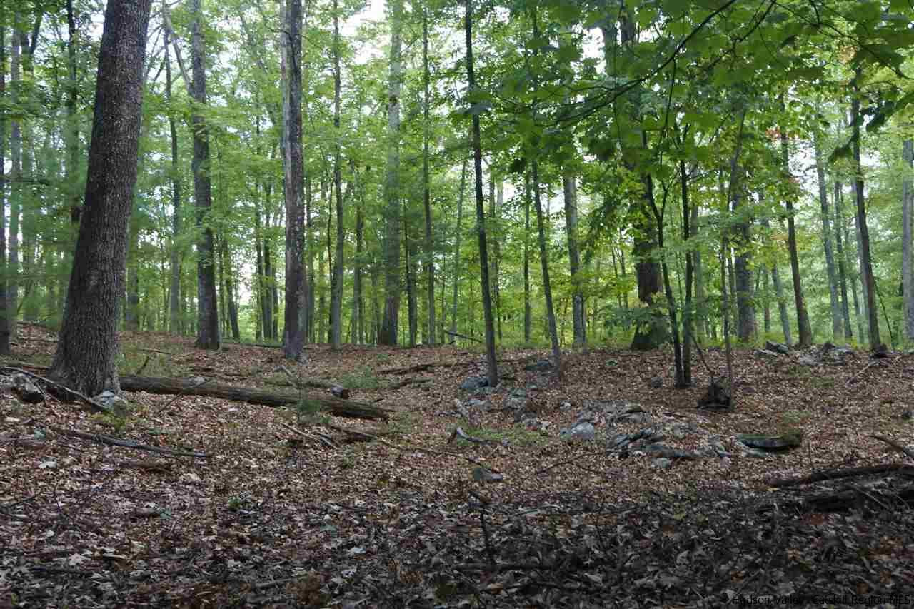 284 Bush Road Stone Ridge, NY 12484 - Photo 31 of 34 a view of outdoor space and green space