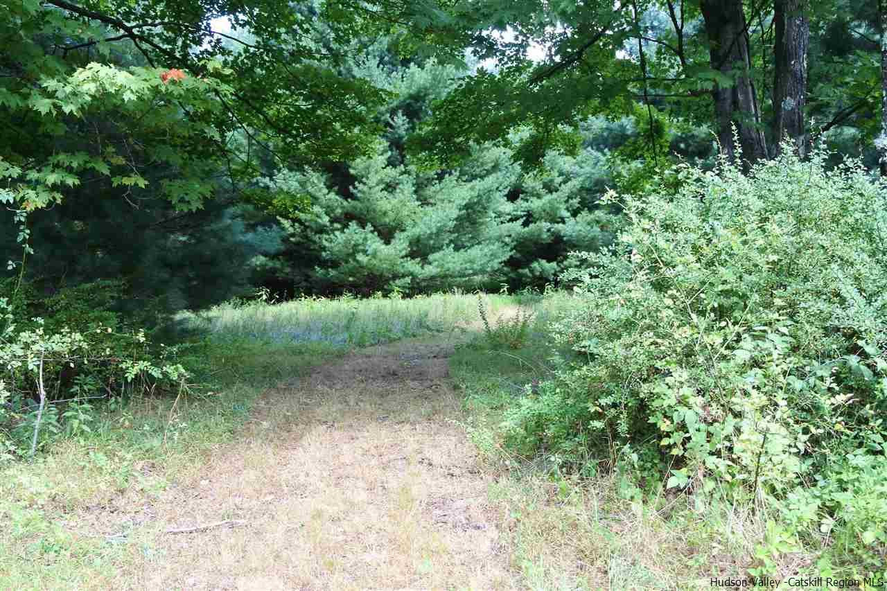 284 Bush Road Stone Ridge, NY 12484 - Photo 33 of 34 a view of a green field
