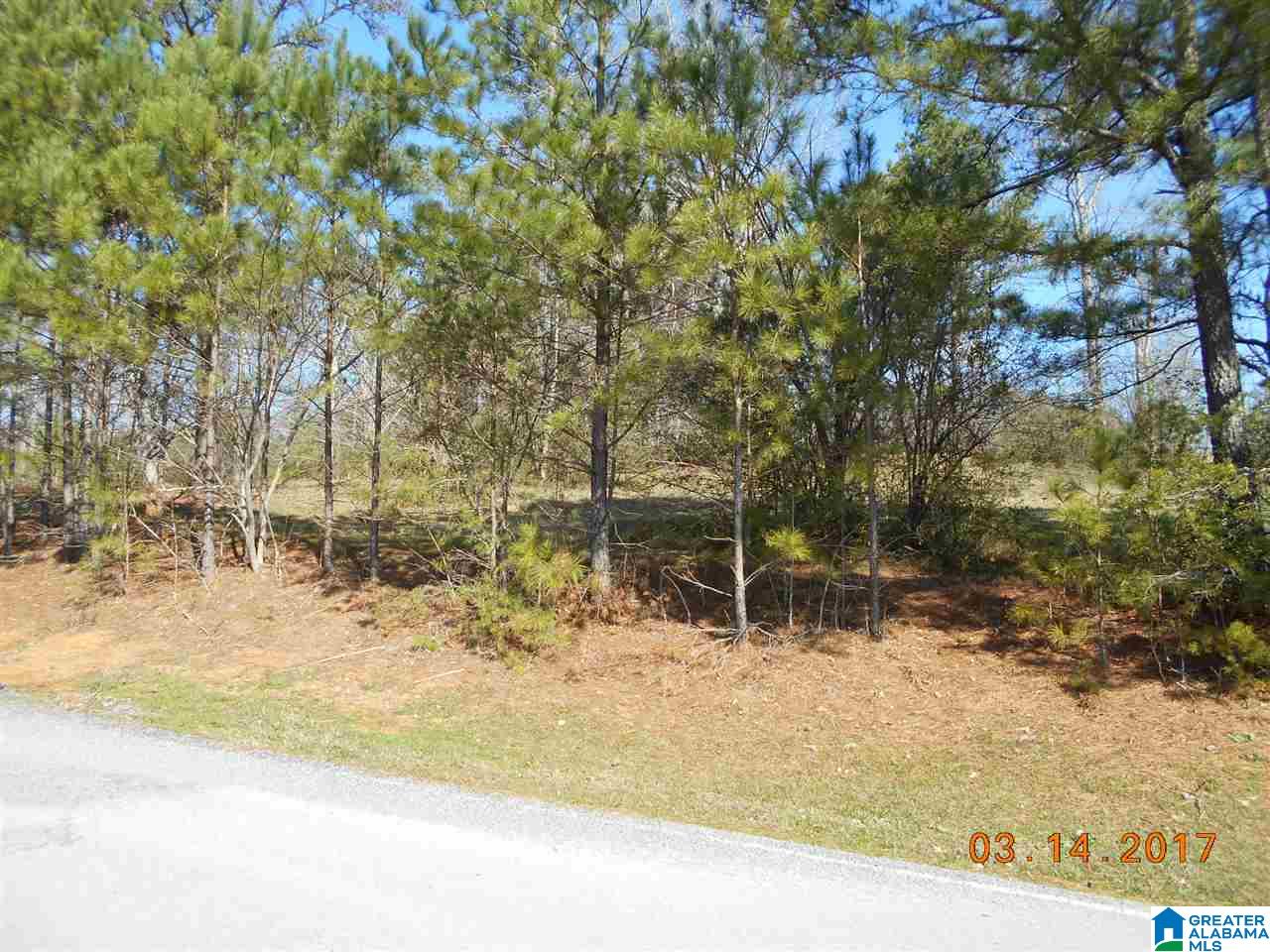 Teem Road, Unit 28 Cullman, AL 35057 - Photo 2 of 6