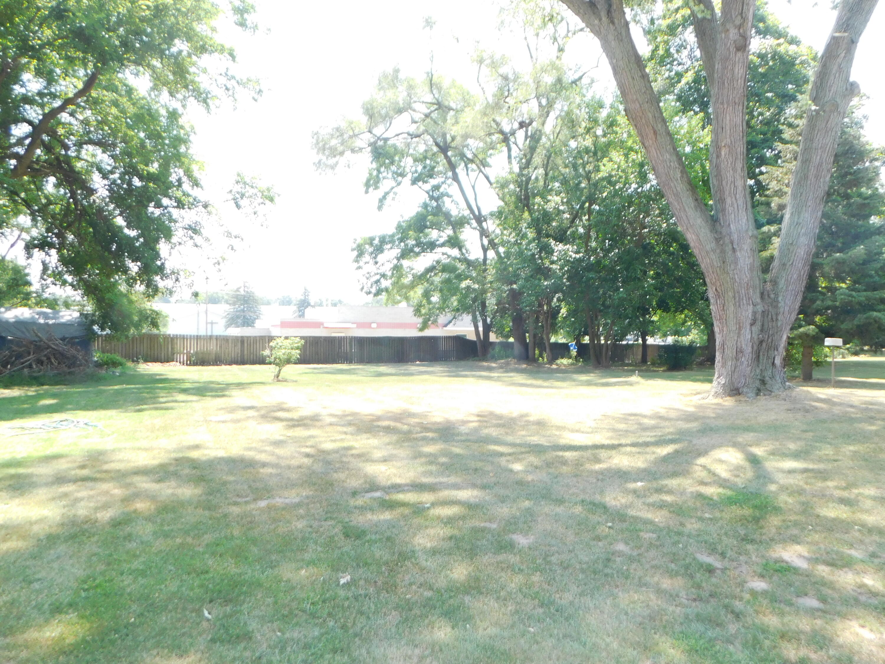 403 West St Marys Street Decatur, MI 49045 - Photo 17 of 19 BACKYARD