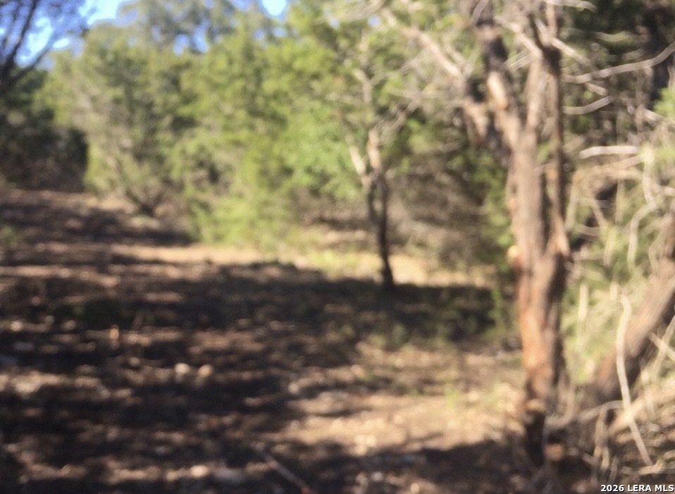 451 Stallion Ests Drive Spring Branch, TX 78070 - Photo 2 of 4