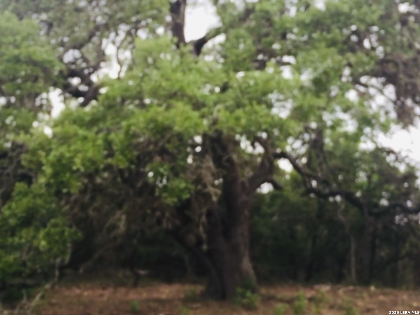 451 Stallion Ests Drive Spring Branch, TX 78070 - Photo 3 of 4