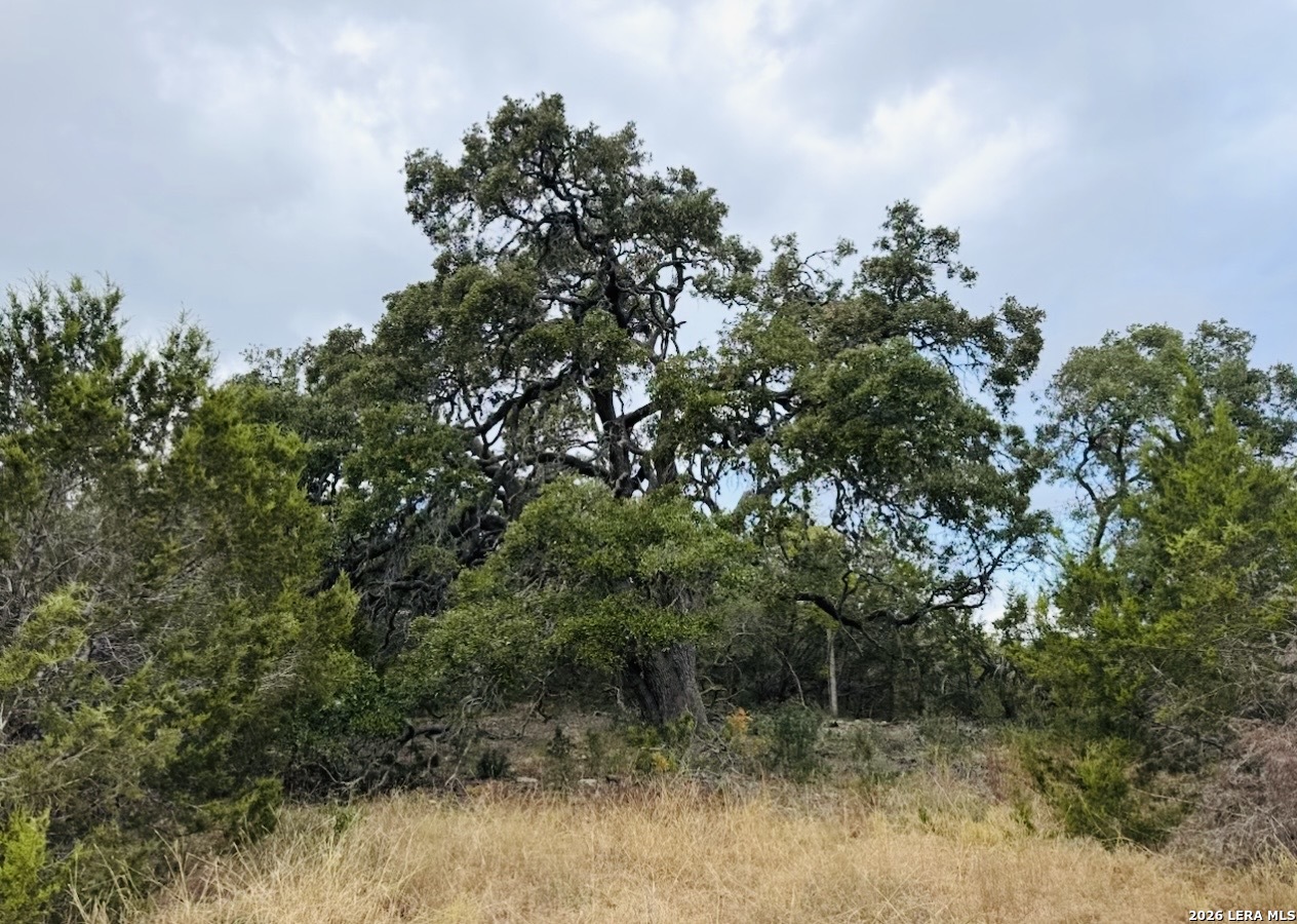 451 Stallion Ests Drive Spring Branch, TX 78070 - Photo 4 of 4