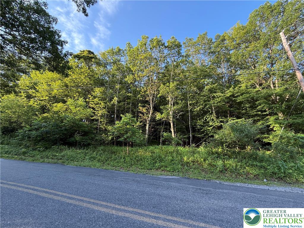 Indian Hill Road Lehighton, PA 18235 - Photo 1 of 5 Gallery Image 1