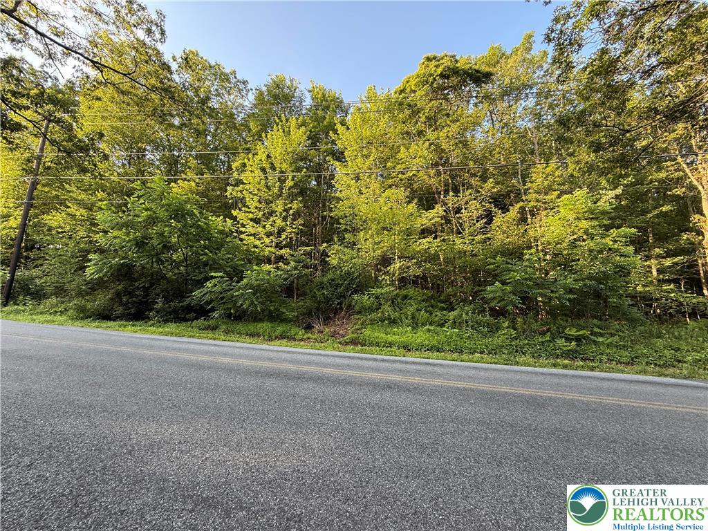Indian Hill Road Lehighton, PA 18235 - Photo 2 of 5 Gallery Image 2