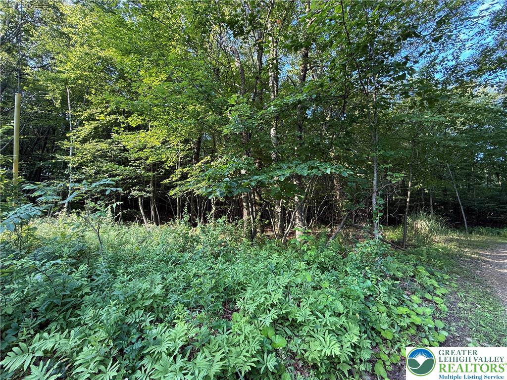 Indian Hill Road Lehighton, PA 18235 - Photo 3 of 5 Gallery Image 3
