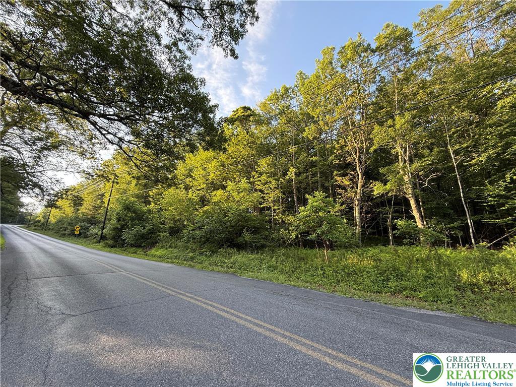 Indian Hill Road Lehighton, PA 18235 - Photo 4 of 5 Gallery Image 4