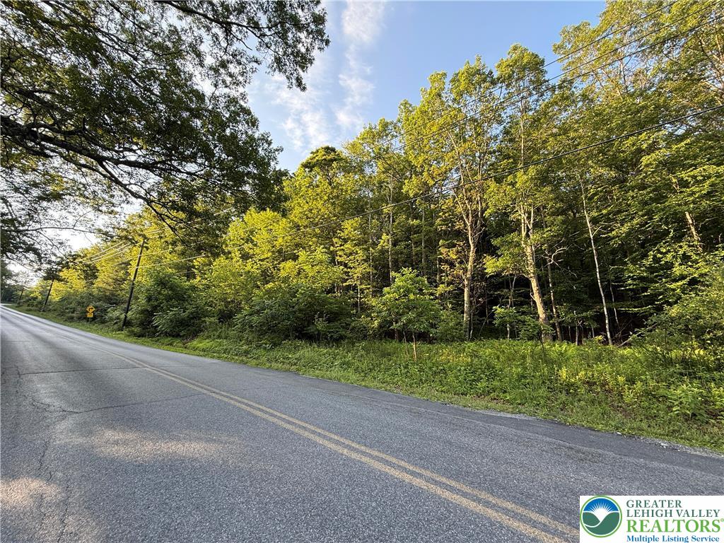 Indian Hill Road Lehighton, PA 18235 - Photo 5 of 5 Gallery Image 5