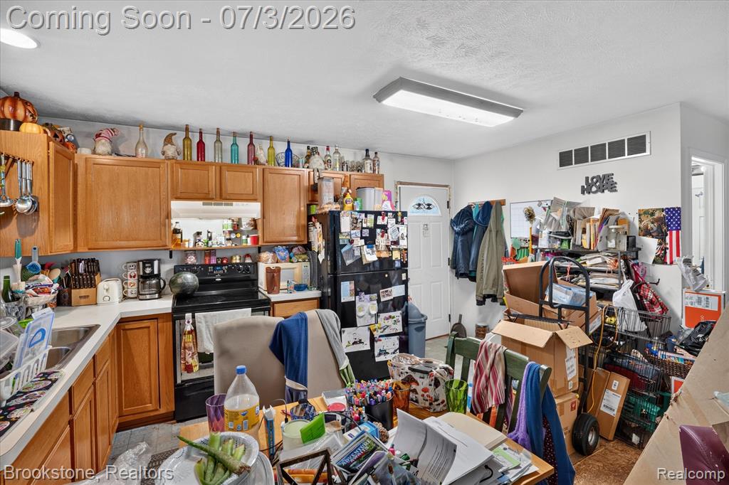 407 East Elizabeth Street Eaton Rapids, MI 48827 - Photo 7 of 29
