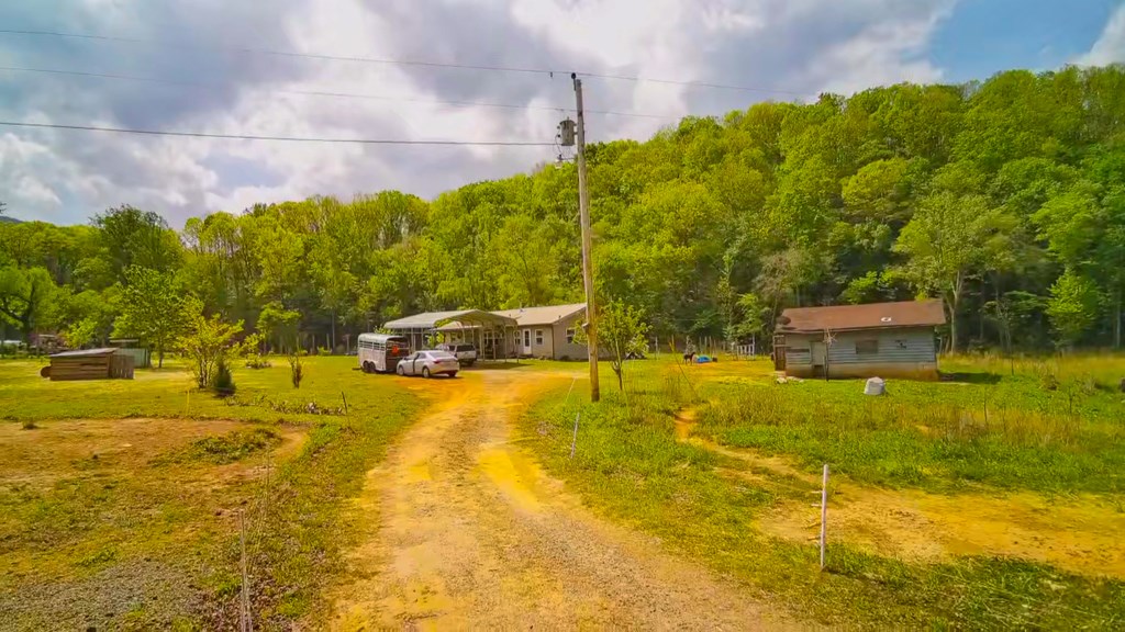 3325 Pack Mountain Road Murphy, NC 28906 - Photo 7 of 69