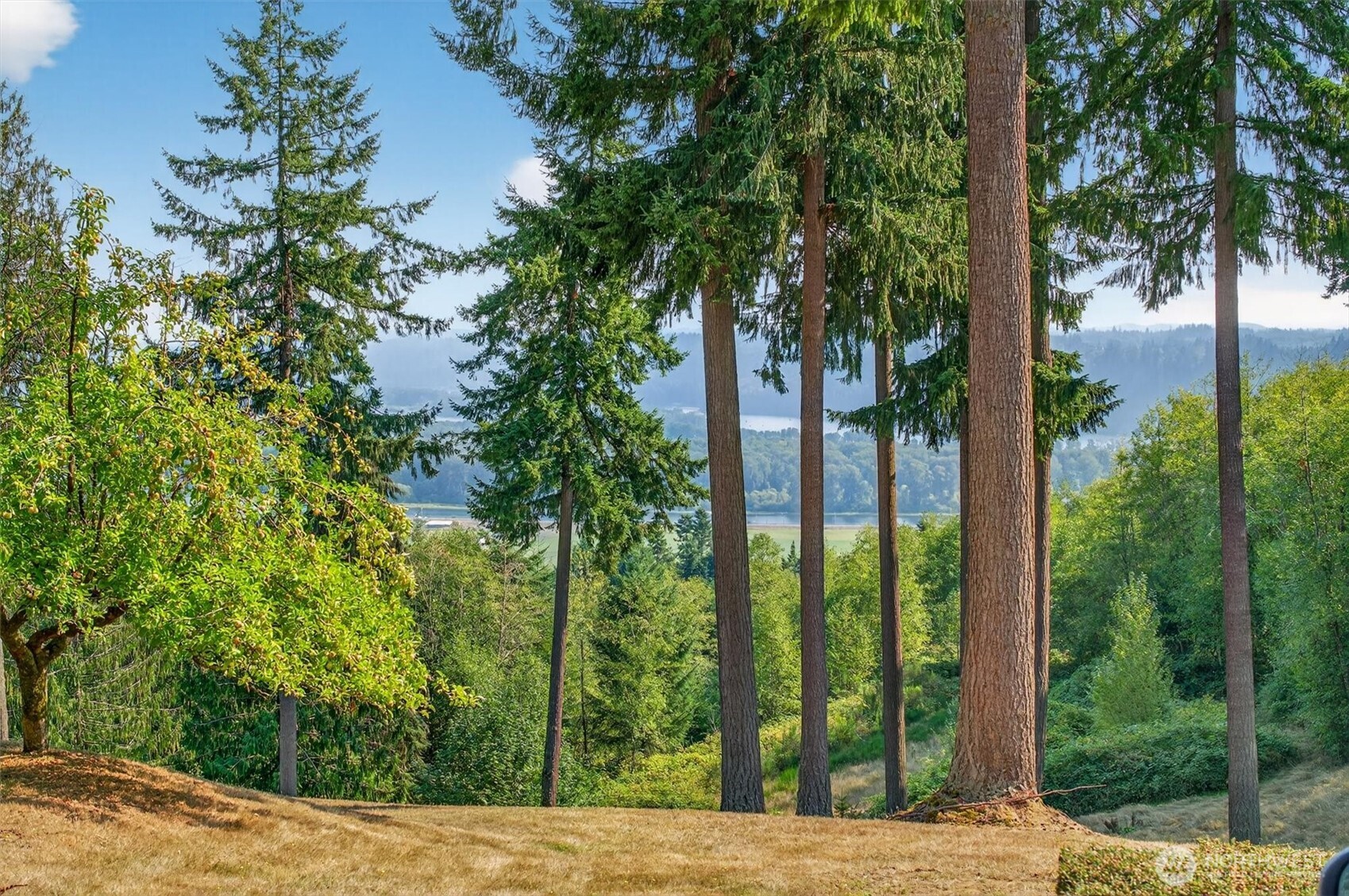 549 Diebert Road Longview, WA 98632 - Photo 5 of 36