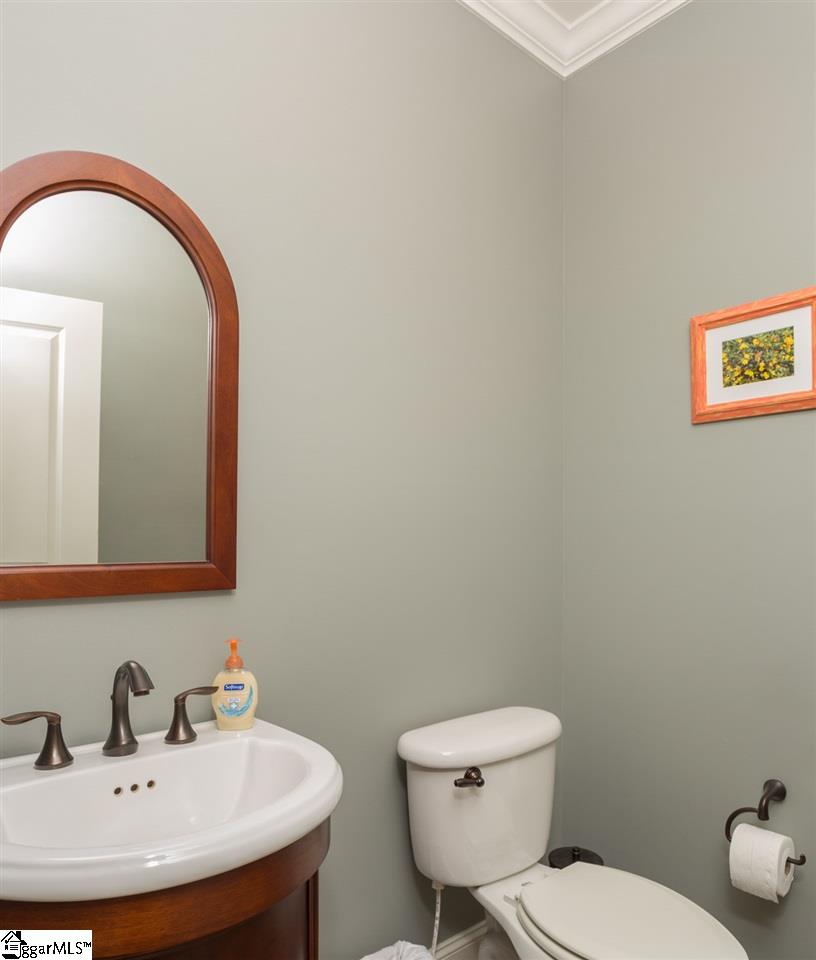 228 Tea Olive Place Simpsonville, SC 29680 - Photo 16 of 36 Gallery Image 16