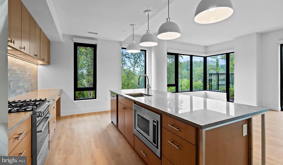 10511 Strathmore Hall Street, Unit 2B3B605 North Bethesda, MD 20852 - Photo 5 of 20