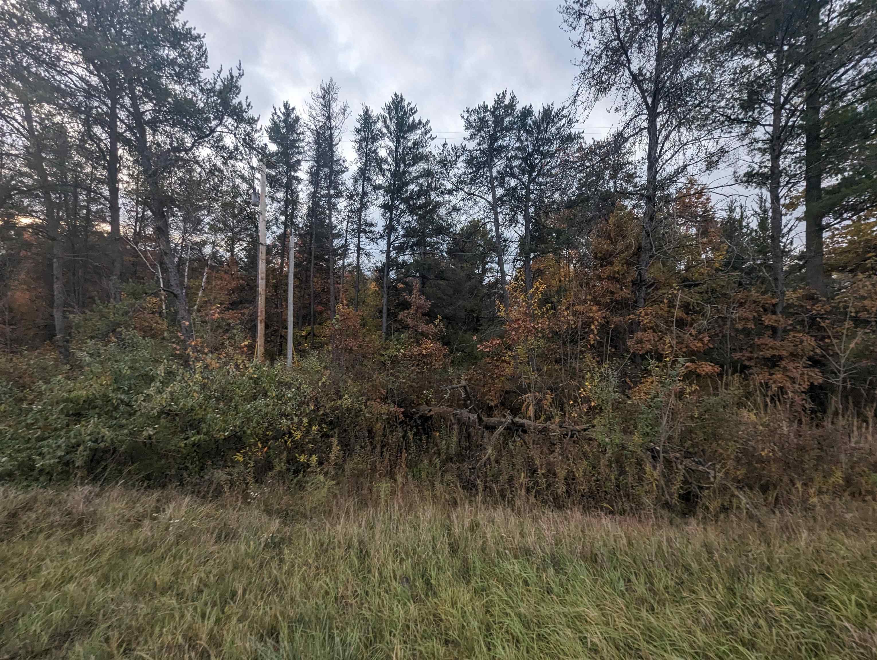 N/a East Huron Road Omer, MI 48749 - Photo 5 of 5
