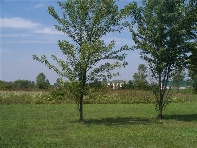 7497 Young Road Orient, OH 43146 - Photo 16 of 18