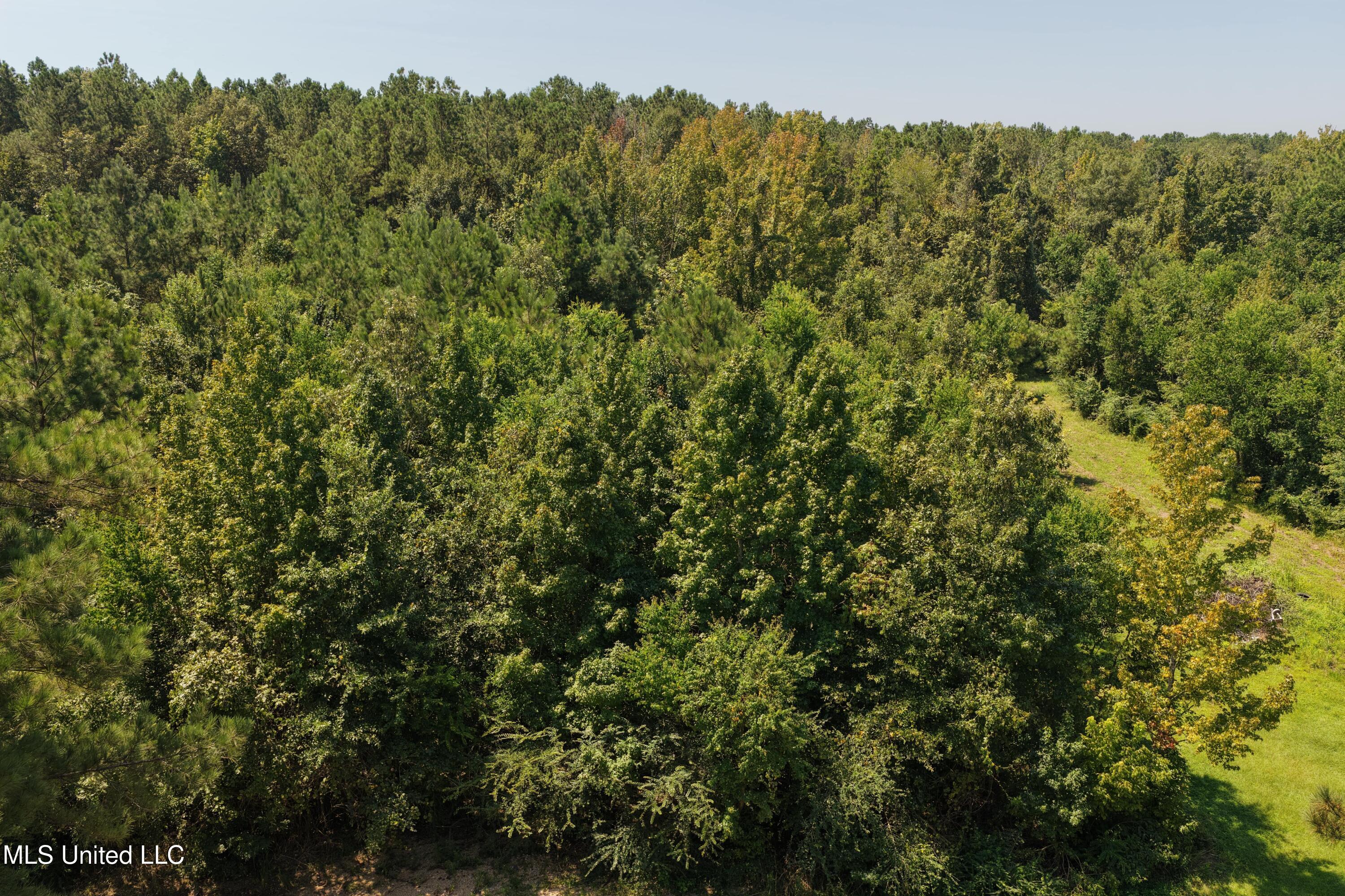 0 Alfred Road Liberty, MS 39645 - Photo 8 of 16 8-min