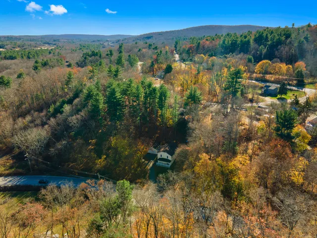 a view of a lake in middle of the forest