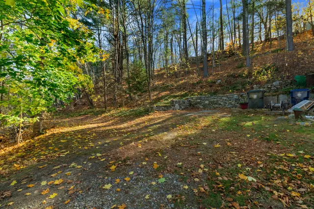 a backyard of a house with lots of green space