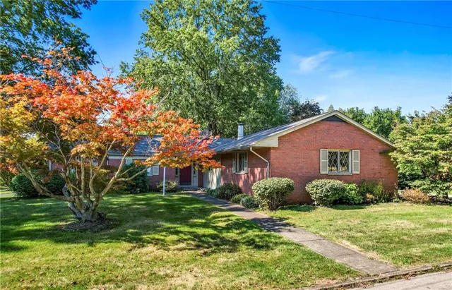 a view of a yard in front of a house with plants and large tree