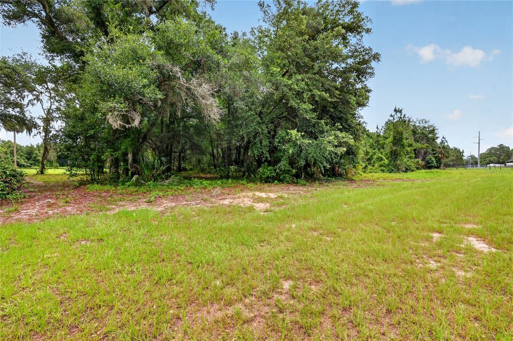 Kilker Road Paisley, FL 32767 - Photo 6 of 15