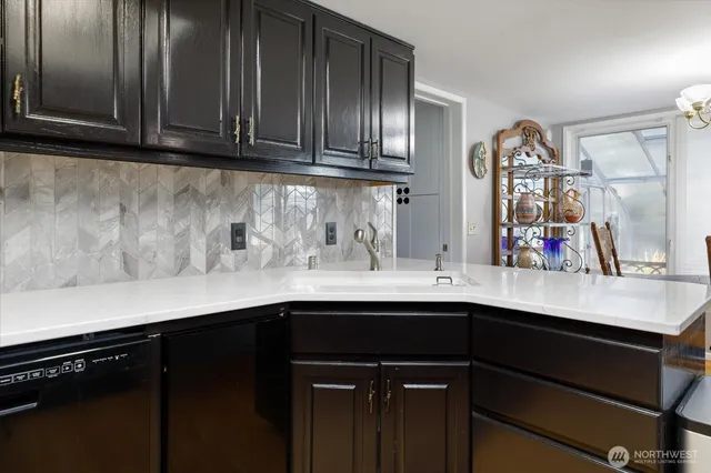 a kitchen with a sink cabinets and stainless steel appliances