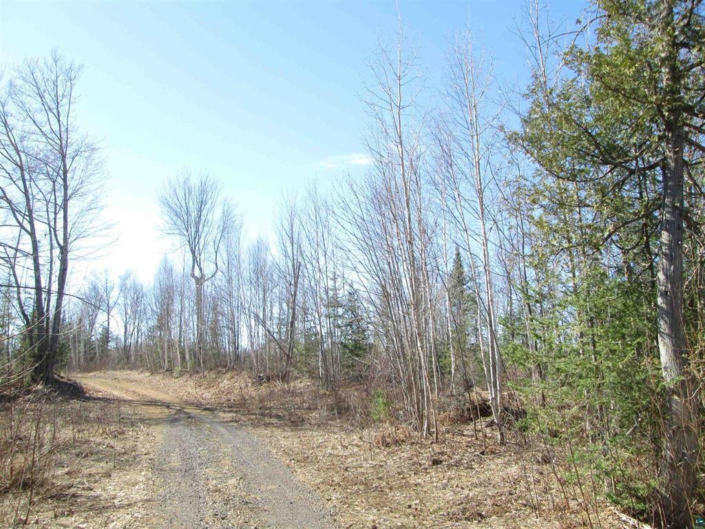 Lot 1 County Rd L South Range, WI 54874 - Photo 20 of 34 Gallery Image 20