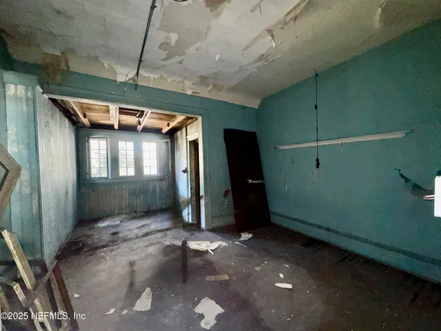 a view of a yard with plants and large trees