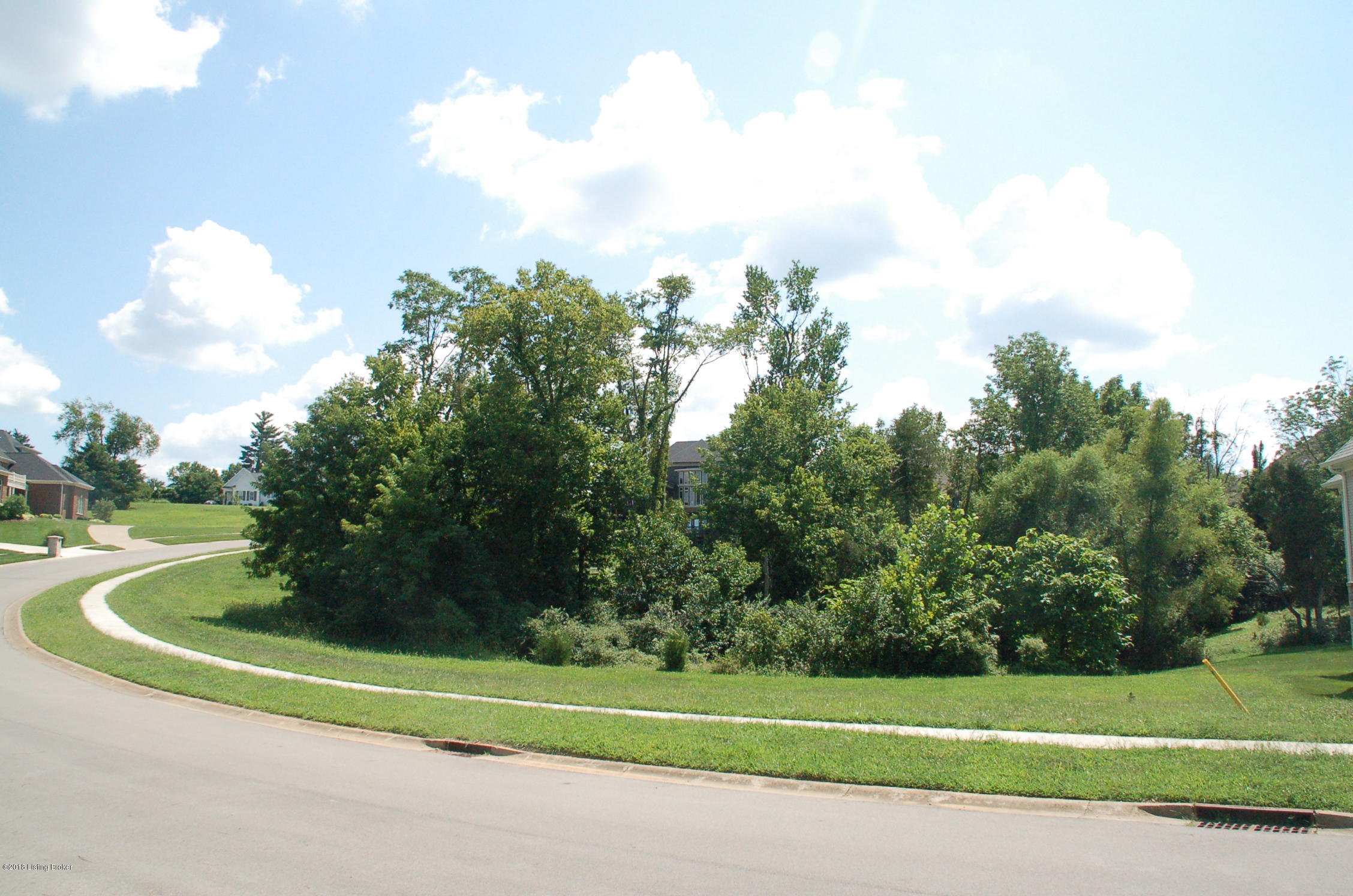 6711 Regal Road Louisville, KY 40222 - Photo 4 of 20 Lower side of lot, looking up Regal Road