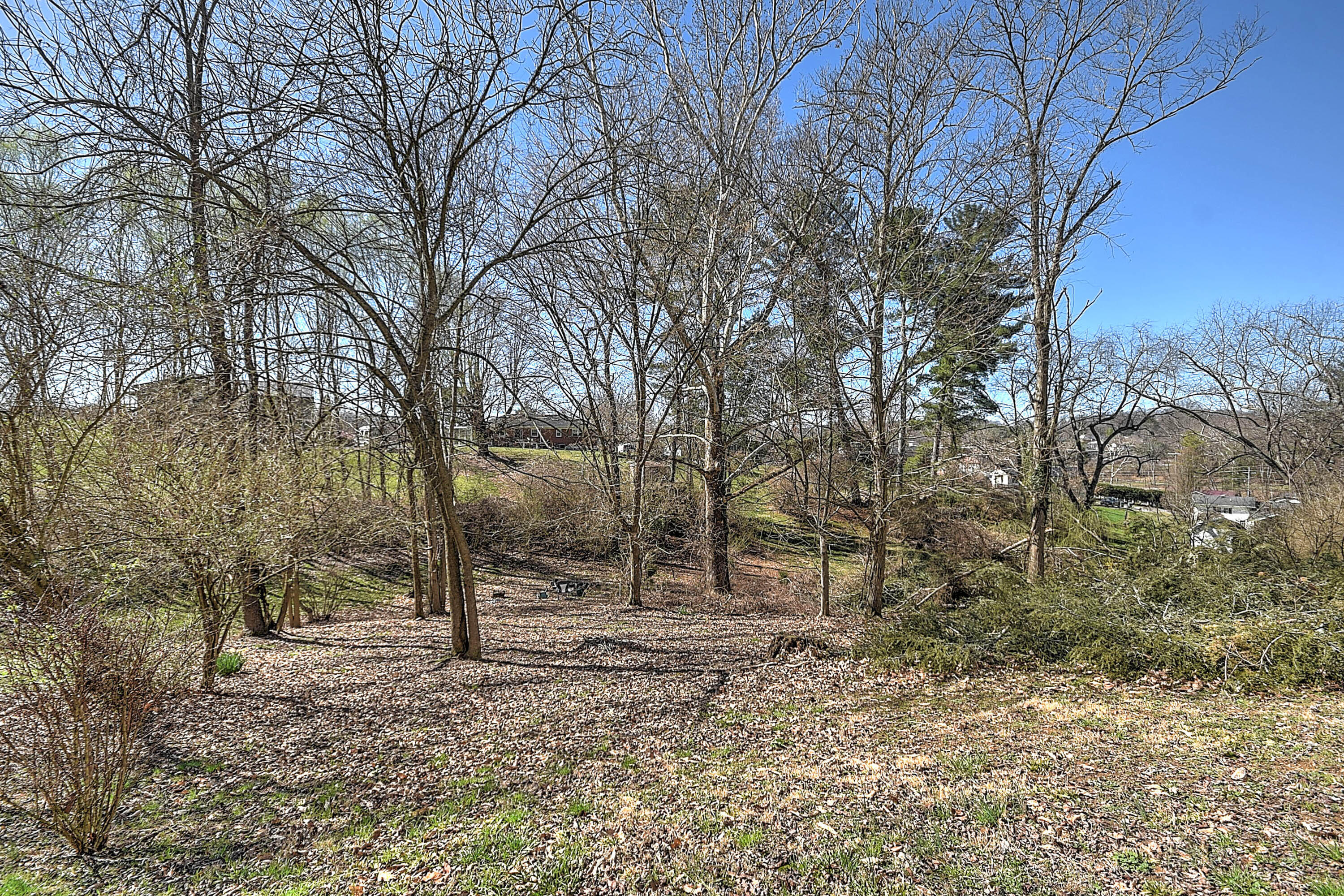448 Shawnee Road Bristol, VA 24201 - Photo 6 of 34 Cheyenne-35
