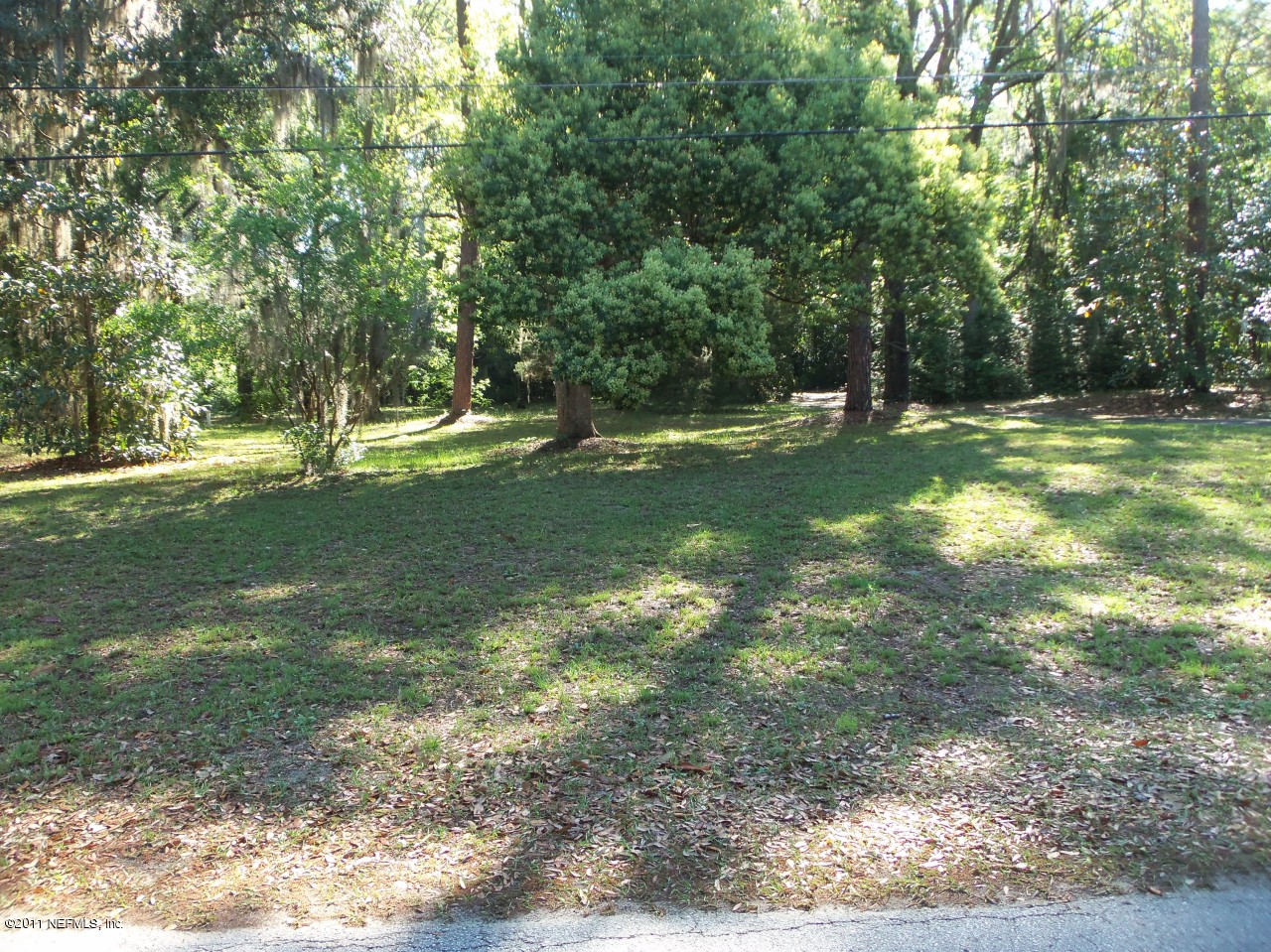 2555 Holly Point Road East Orange Park, FL 32073 - Photo 8 of 23 View from the street