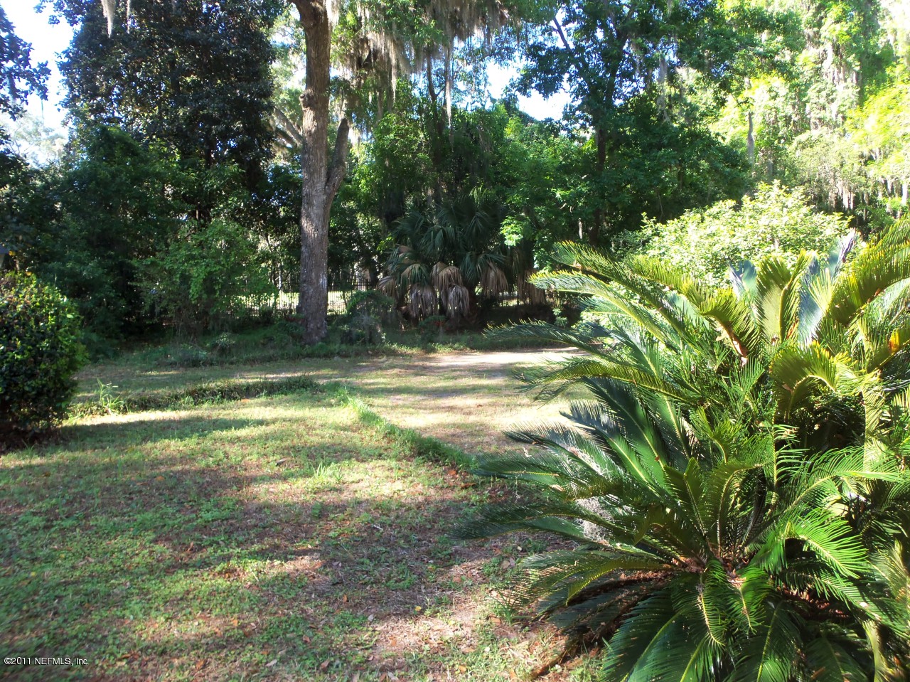 2555 Holly Point Road East Orange Park, FL 32073 - Photo 9 of 23 View of left side of lot from the home