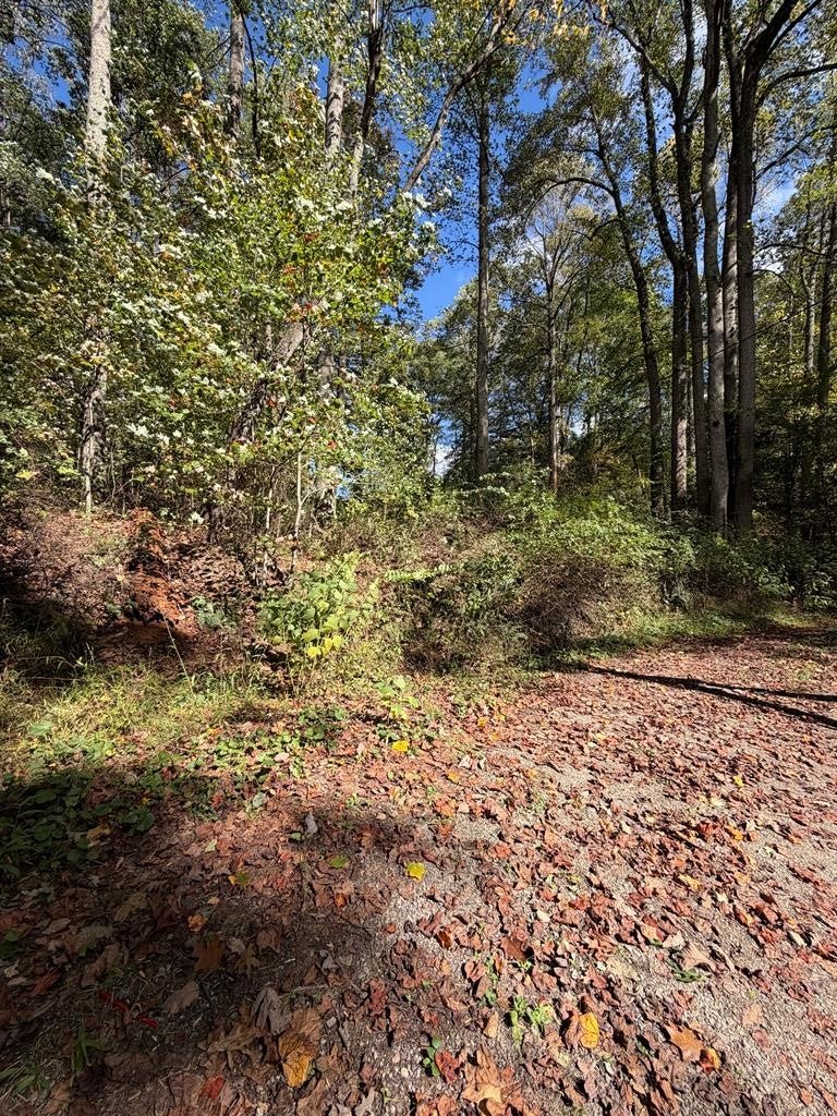 0 Orchard Hill Road Beaver, WV 25813 - Photo 1 of 5 Main View