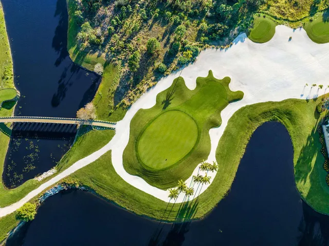 a view of a city with ocean view