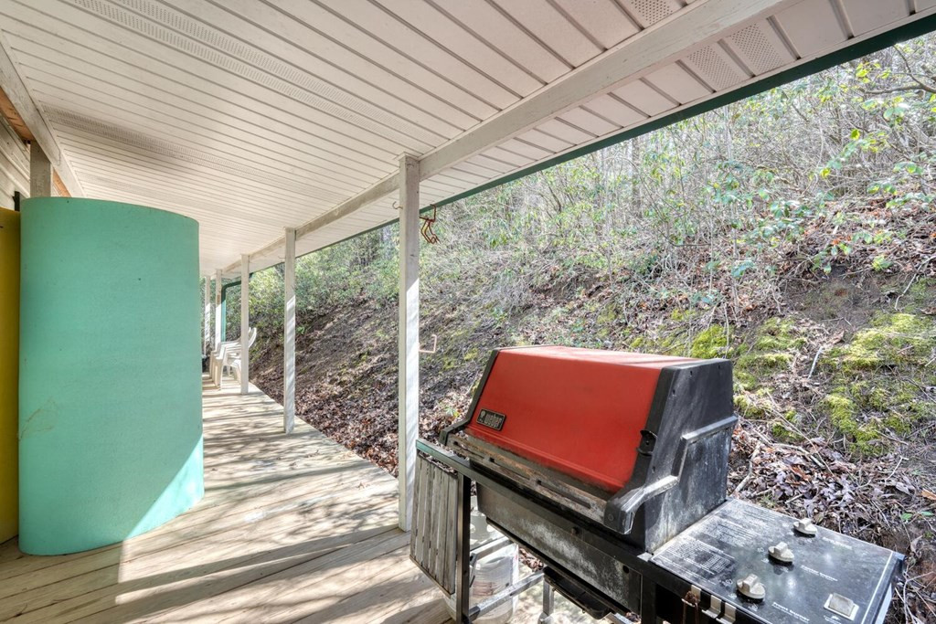 333 Reece Creek Road West Blairsville, GA 30512 - Photo 43 of 50