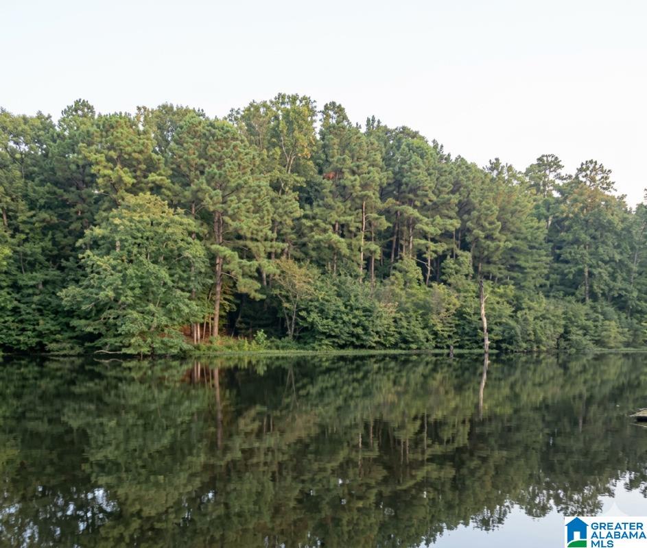 73 Blackjack Road Odenville, AL 35120 - Photo 23 of 23