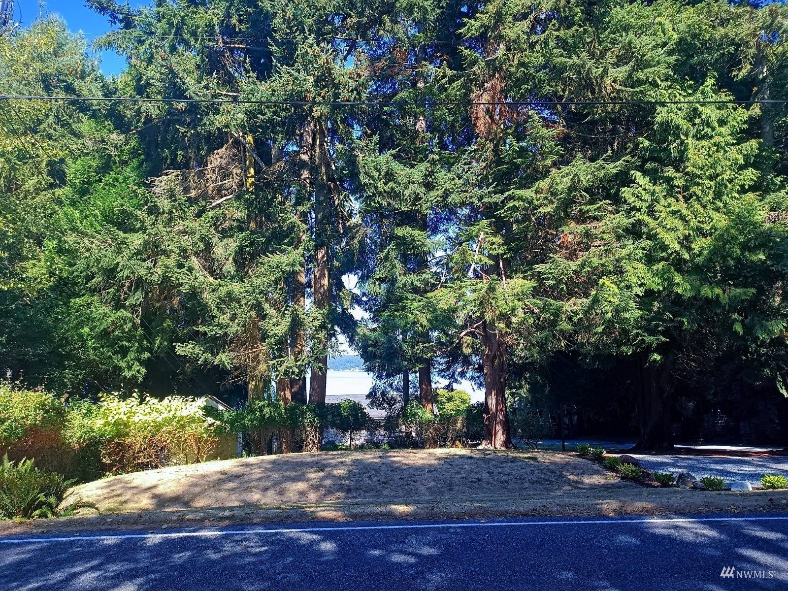 10 Saratoga Road Langley, WA 98260 - Photo 4 of 14 Gallery Image 4