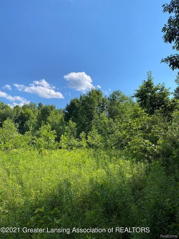 0 Olds Road Leslie, MI 49251 - Photo 13 of 15