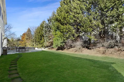 a view of yard with green space and trees all around