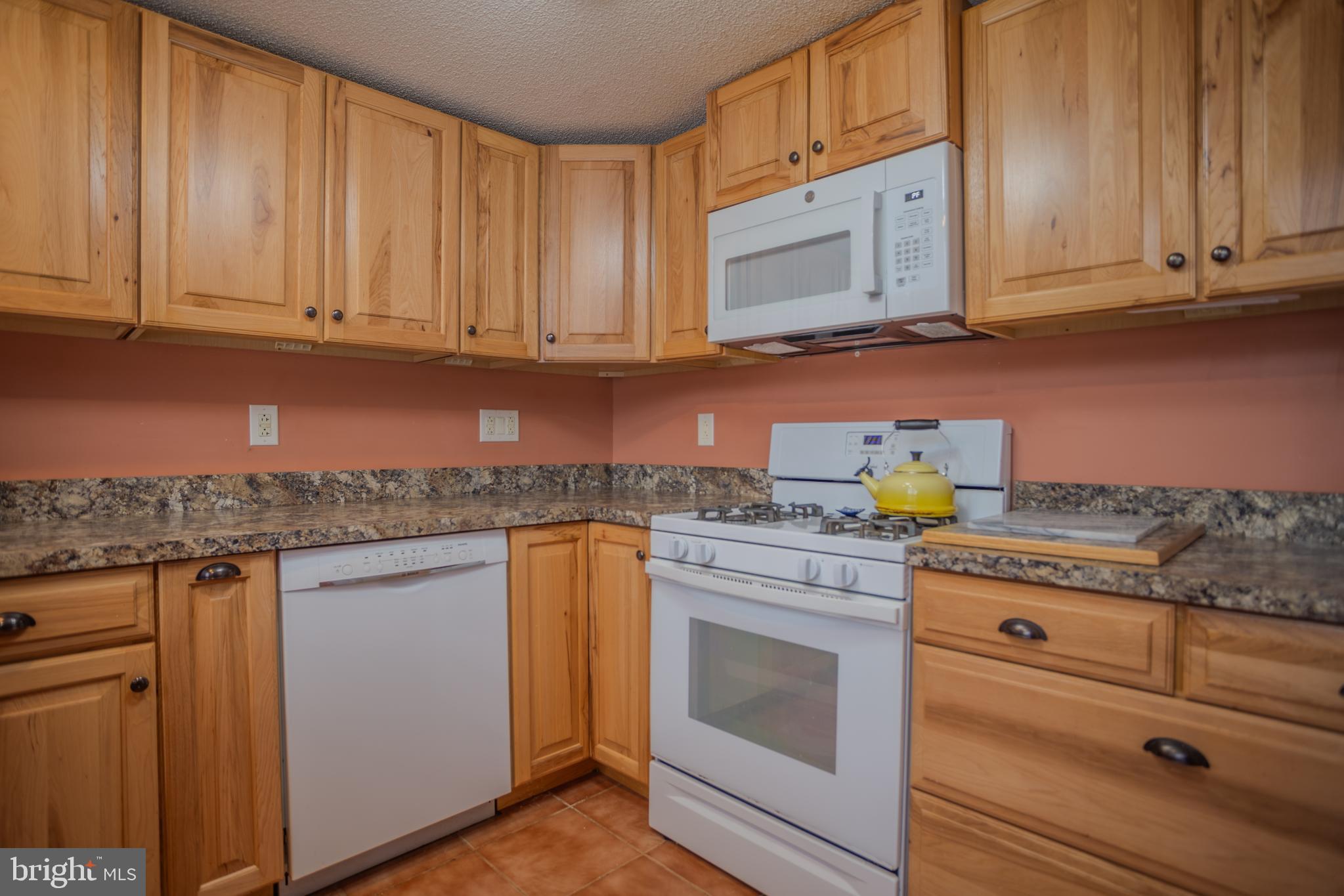 734 Walden Road Hedgesville, WV 25427 - Photo 18 of 65 Wood cabinets