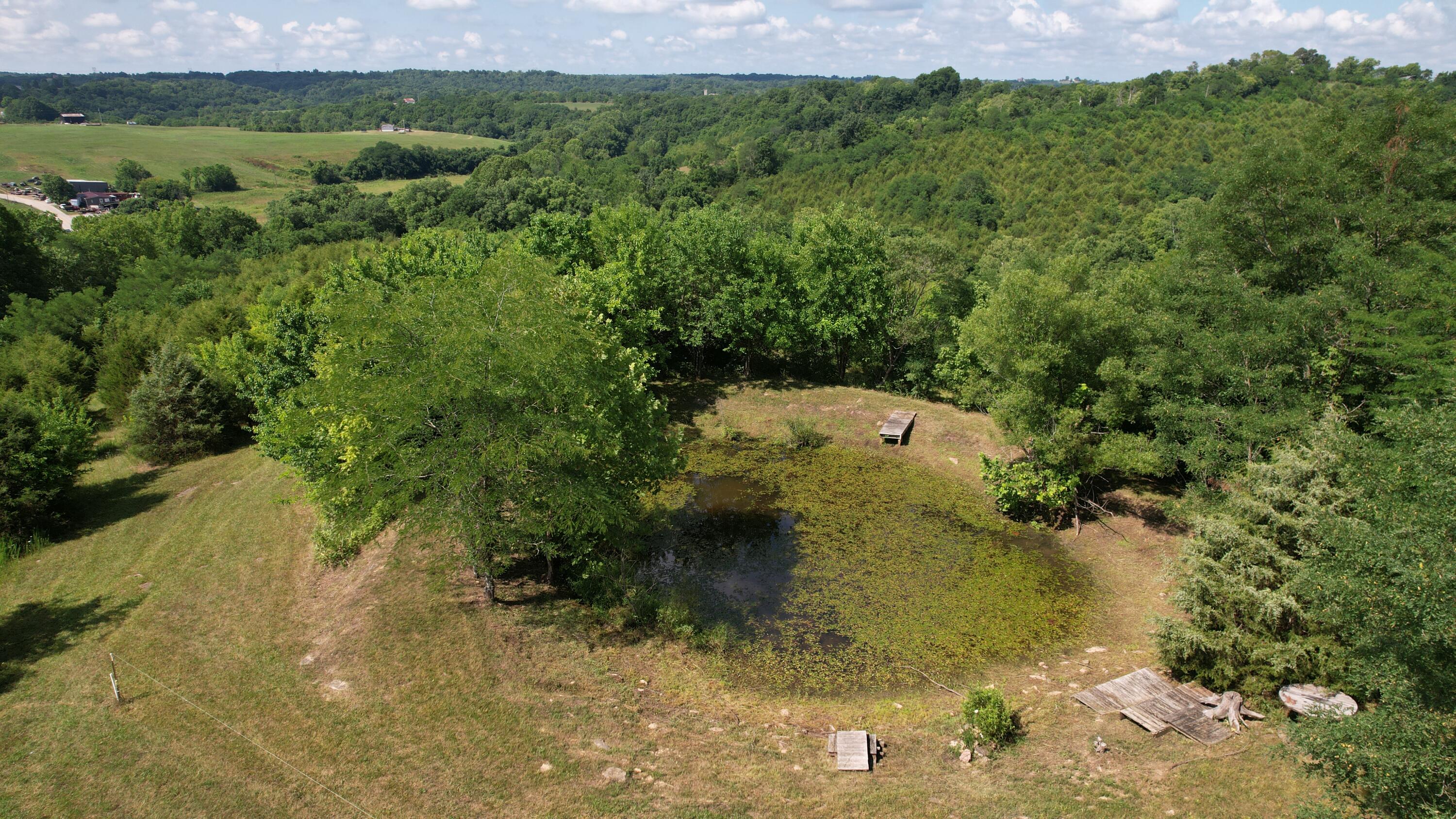 6150 Bridgeville Road Brooksville, KY 41004 - Photo 13 of 37 Gallery Image 13